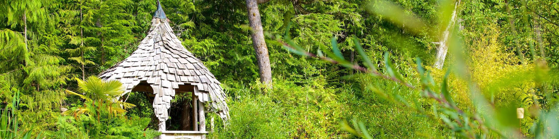 Tofino Botanical Gardens which includes a park and a pond