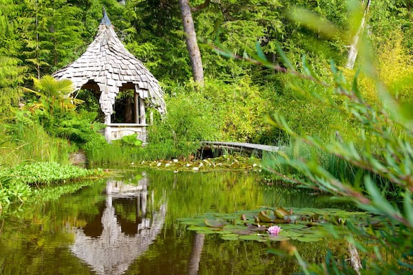 Tofino Botanical Gardens 表示 庭園 と 池