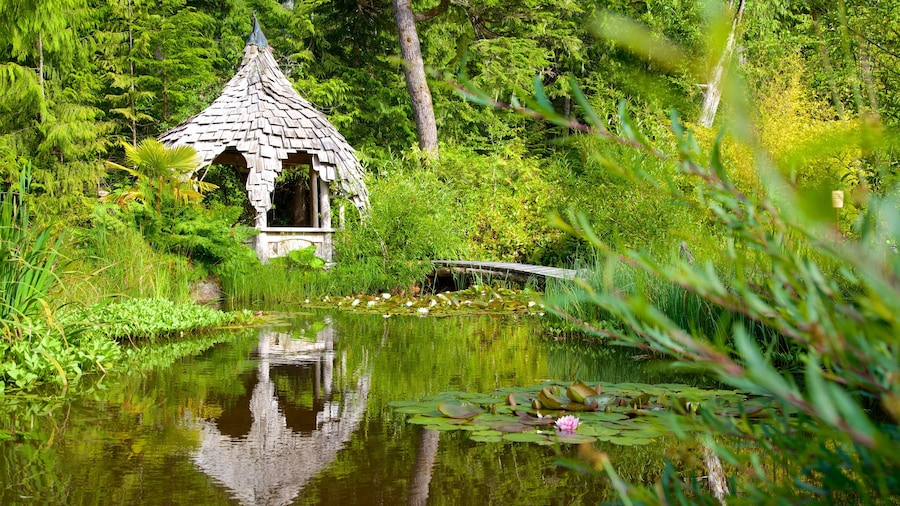 Tofino Botanical Gardens featuring a pond and a garden