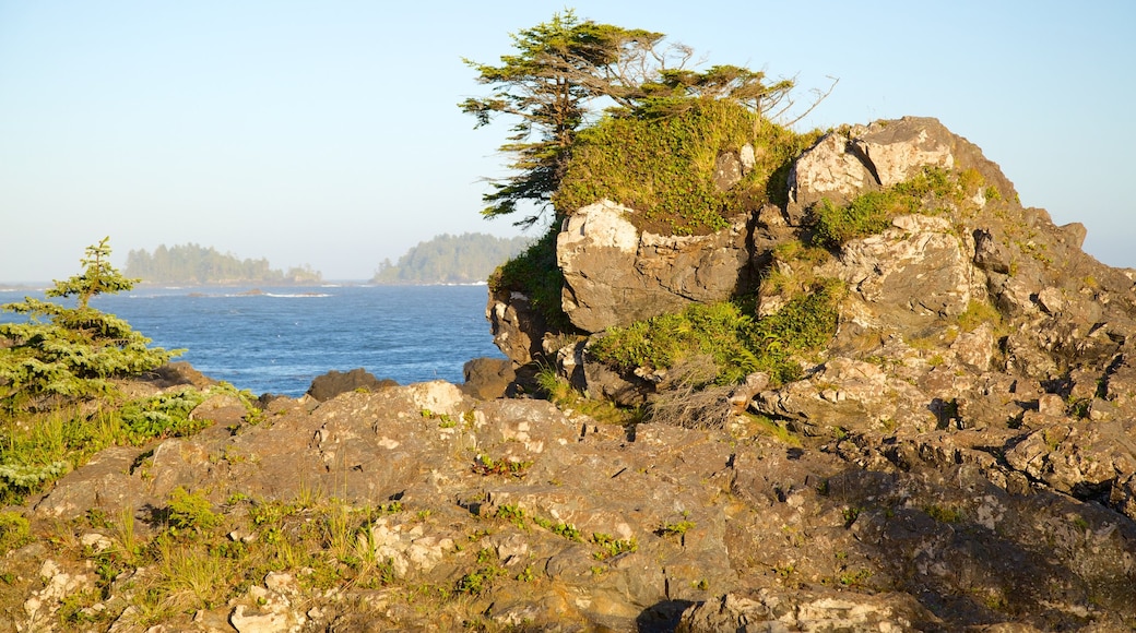 Wild Pacific Trail toont rotsachtige kustlijn en algemene kustgezichten