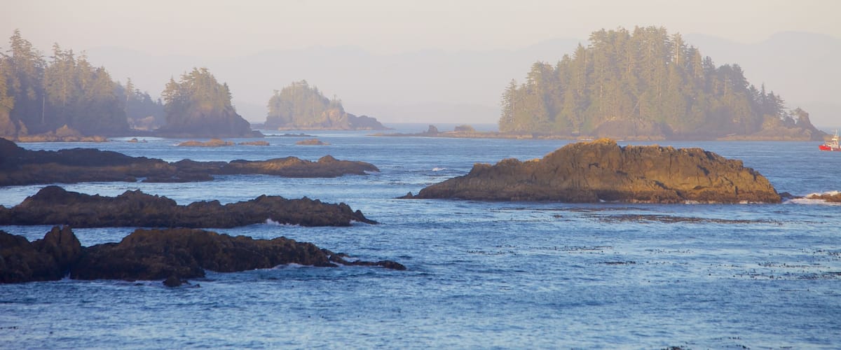 Wild Pacific Trail showing rugged coastline and general coastal views