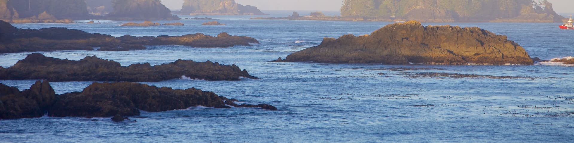 Wild Pacific Trail which includes general coastal views and rocky coastline