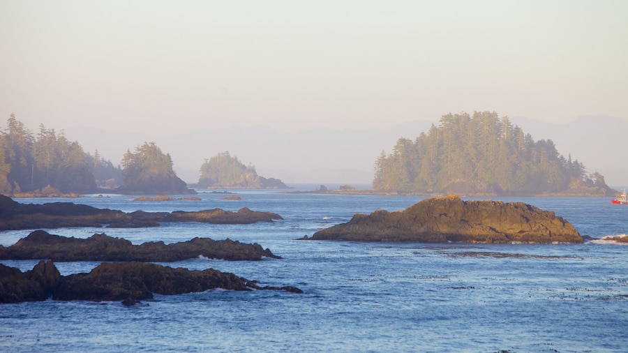 Wild Pacific Trail showing rugged coastline and general coastal views