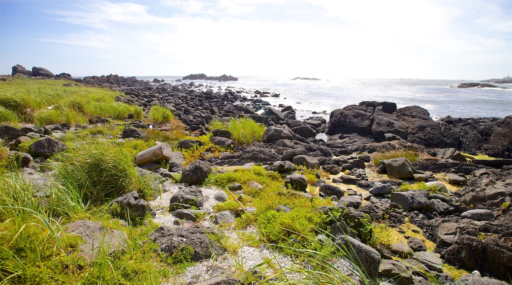 Grande plage d\'Ucluelet montrant côte rocheuse