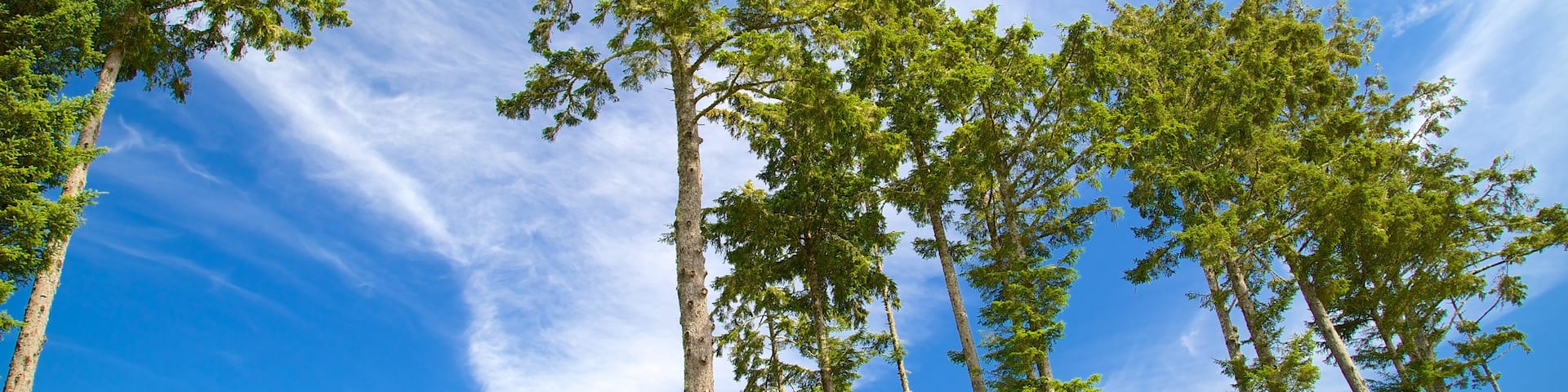 Ucluelet Big Beach showing a luxury hotel or resort and a house