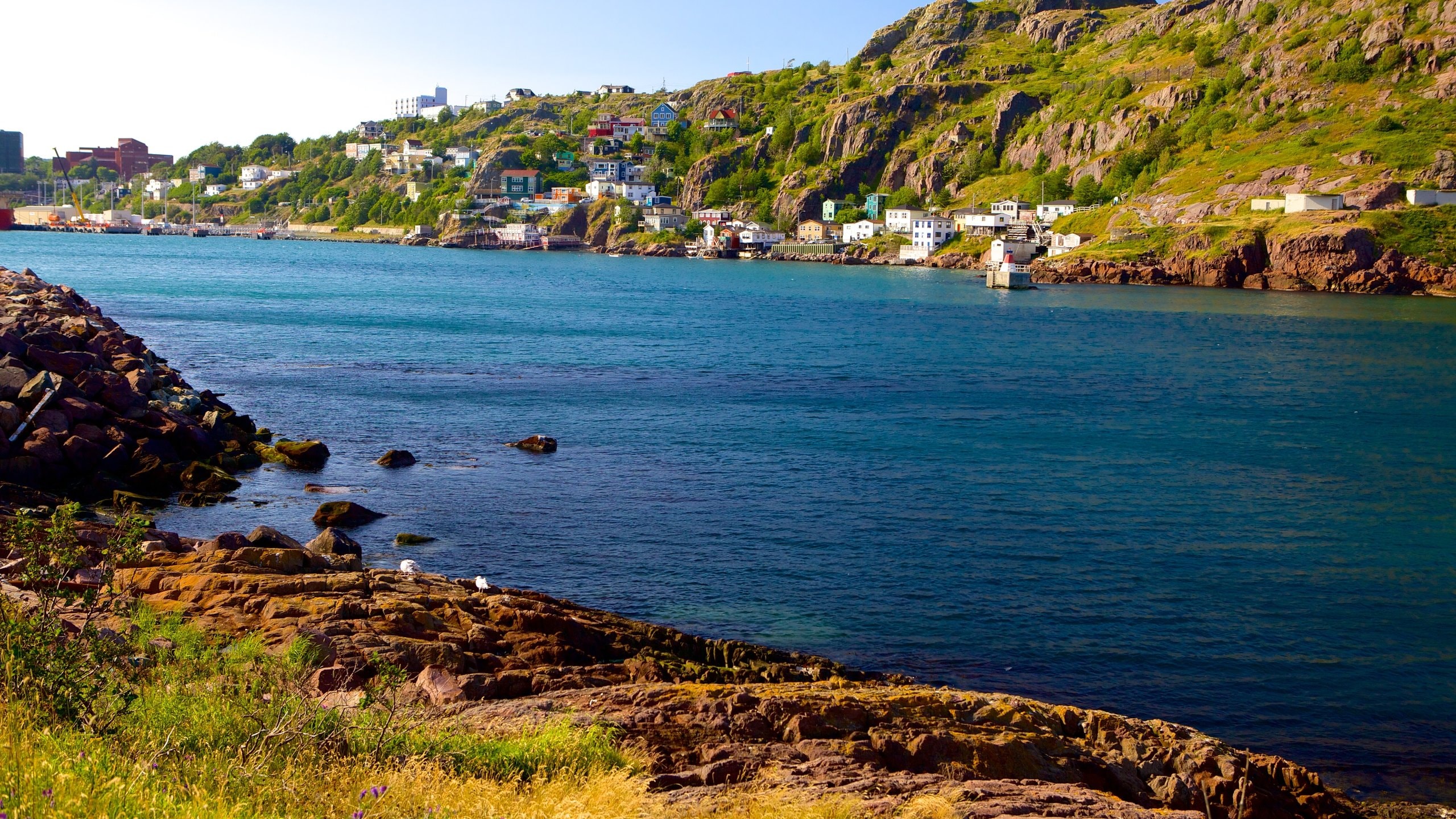 Top 20 St. John's, NL condo and apartment rentals to rent from C 70