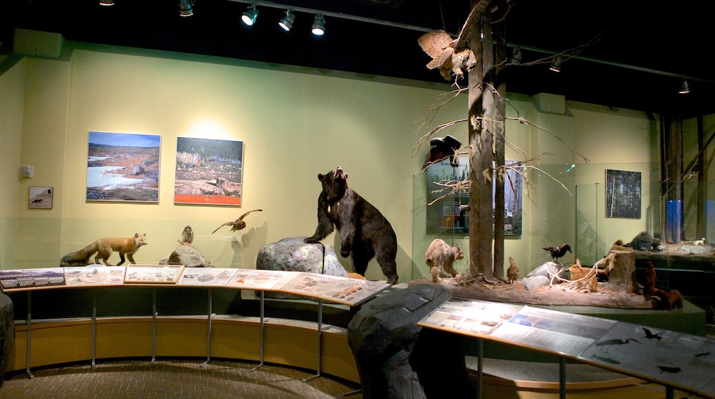 The Rooms featuring interior views