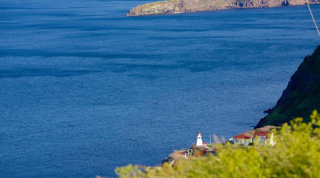 Cabot Tower featuring general coastal views