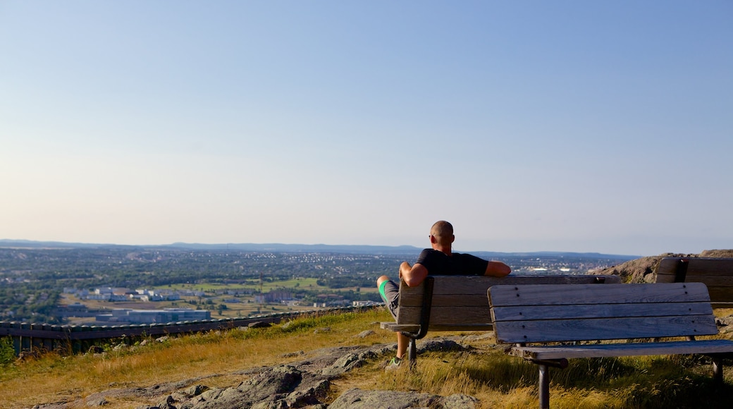 Tour Cabot montrant paysages et un observatoire aussi bien que un homme seul