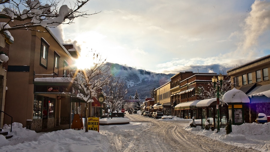 Revelstoke che include neve e piccola città o villaggio