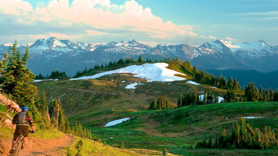 Revelstoke featuring tranquil scenes, mountain biking and landscape views
