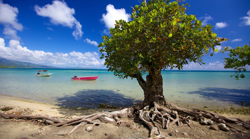 Marae Taputapuatea which includes general coastal views