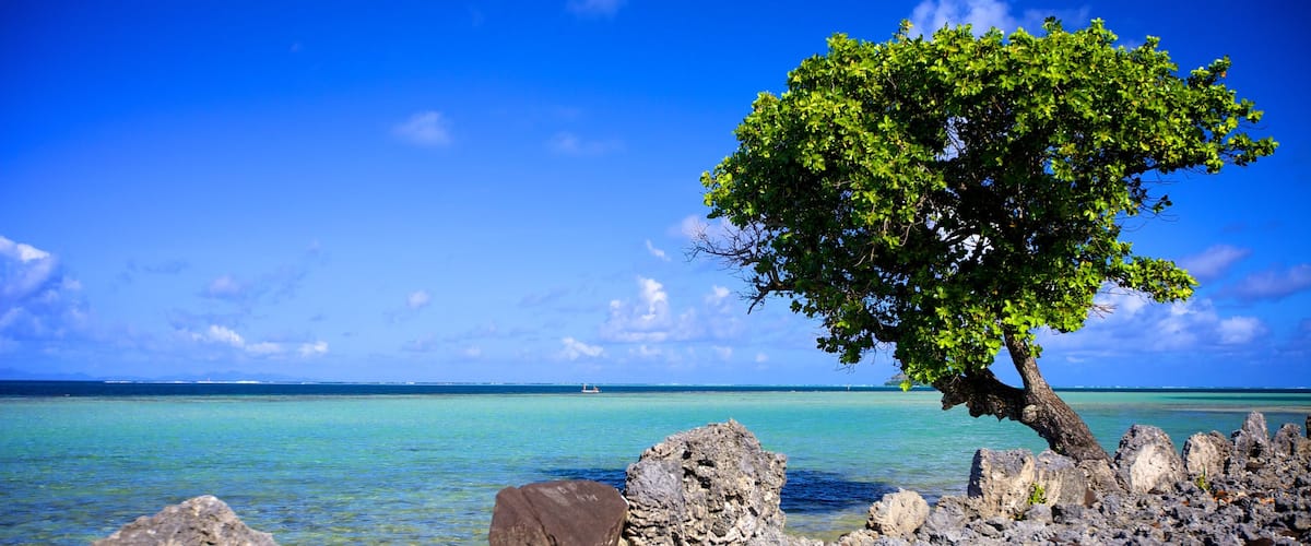 Marae Taputapuatea which includes a pebble beach and general coastal views