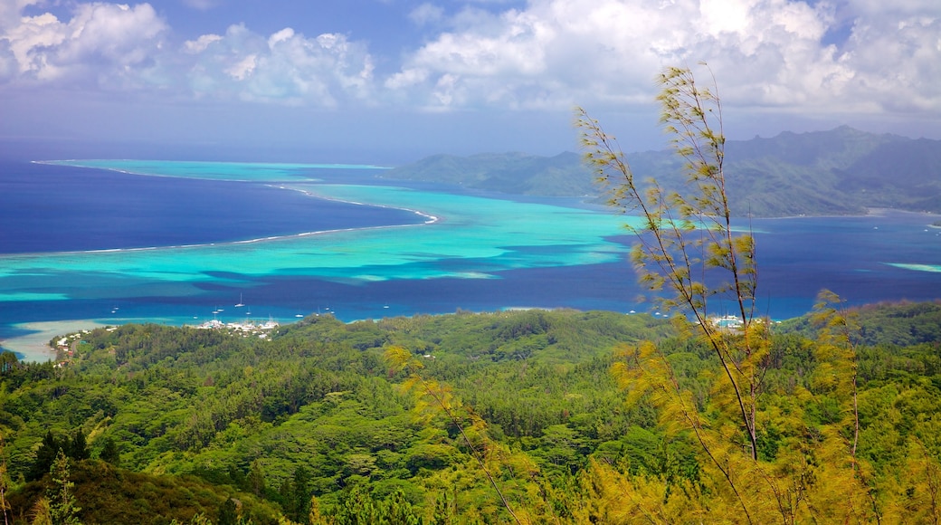 Raiatea which includes general coastal views and landscape views