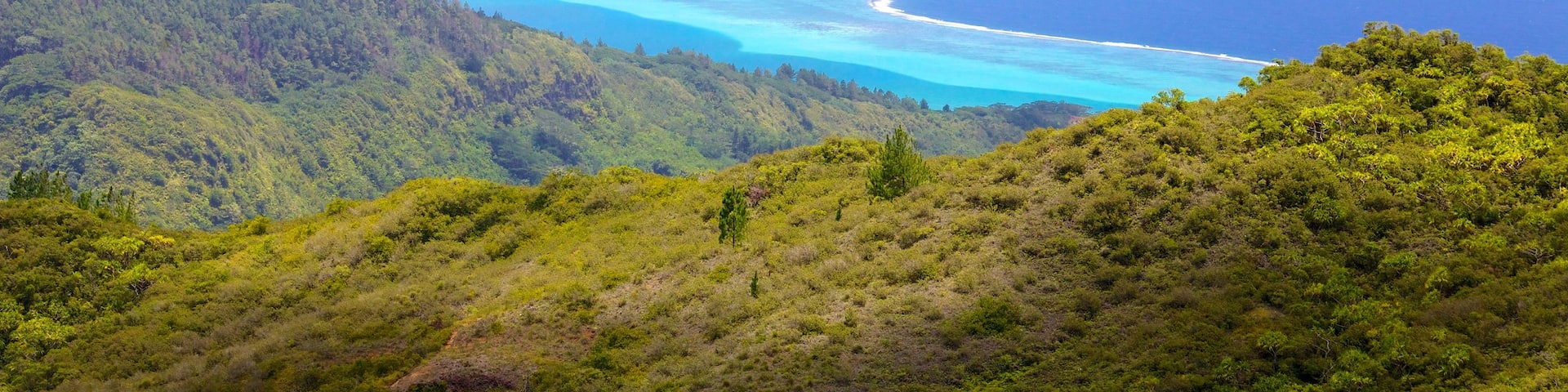 Raiatea showing general coastal views, landscape views and mountains