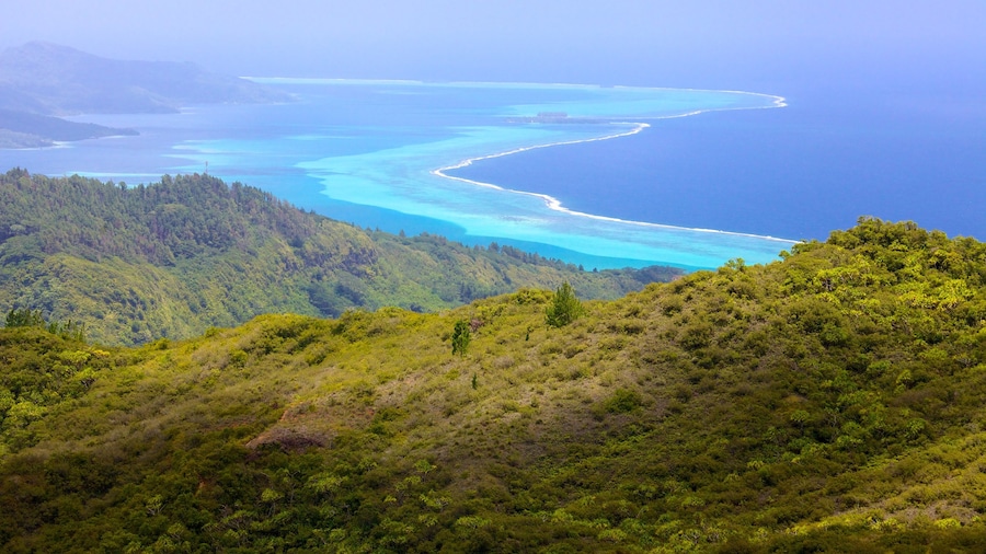 Raiatea showing general coastal views, landscape views and mountains