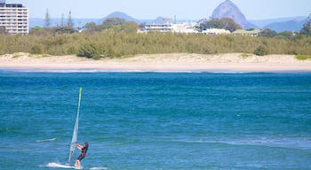 Golden Beach showing general coastal views and windsurfing