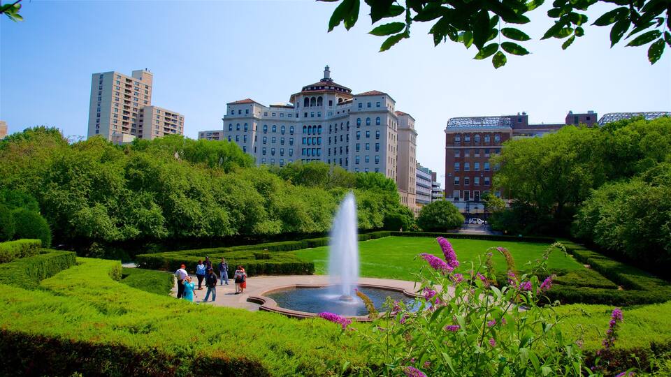 Central Park showing a garden, a fountain and a city