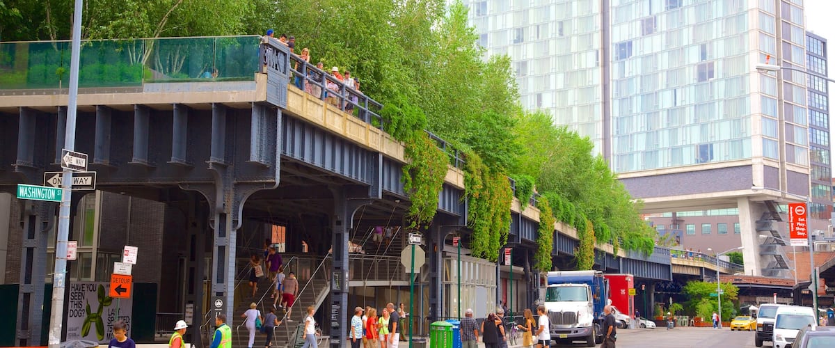 The High Line Park featuring a city, a park and street scenes