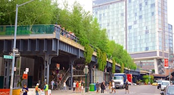 The High Line Park showing a garden, street scenes and a city