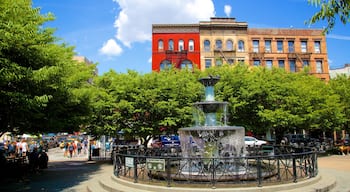 Greenwich Village welches beinhaltet Springbrunnen