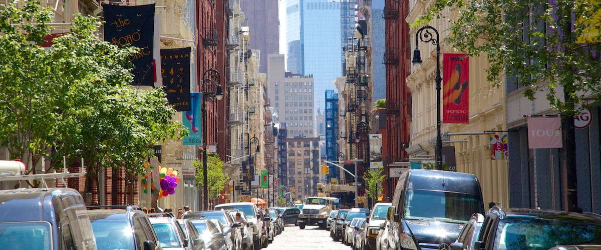 SoHo - Tribeca showing a city