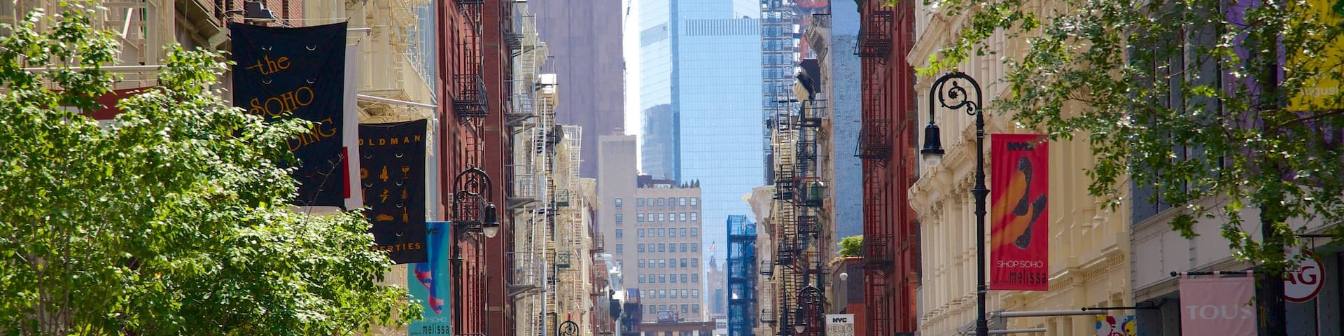 SoHo - Tribeca which includes a city