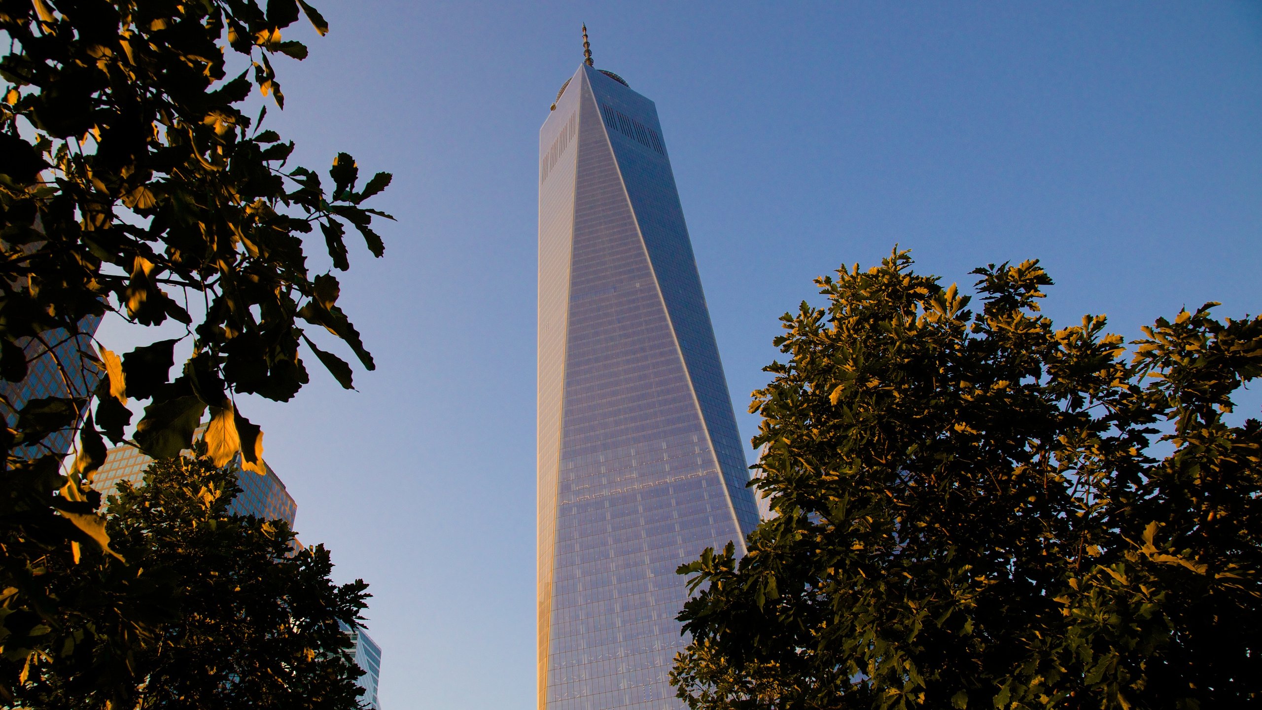 One World Trade Centre in New York - Explore the Tallest Building in New  York and the Western Hemisphere - Go Guides