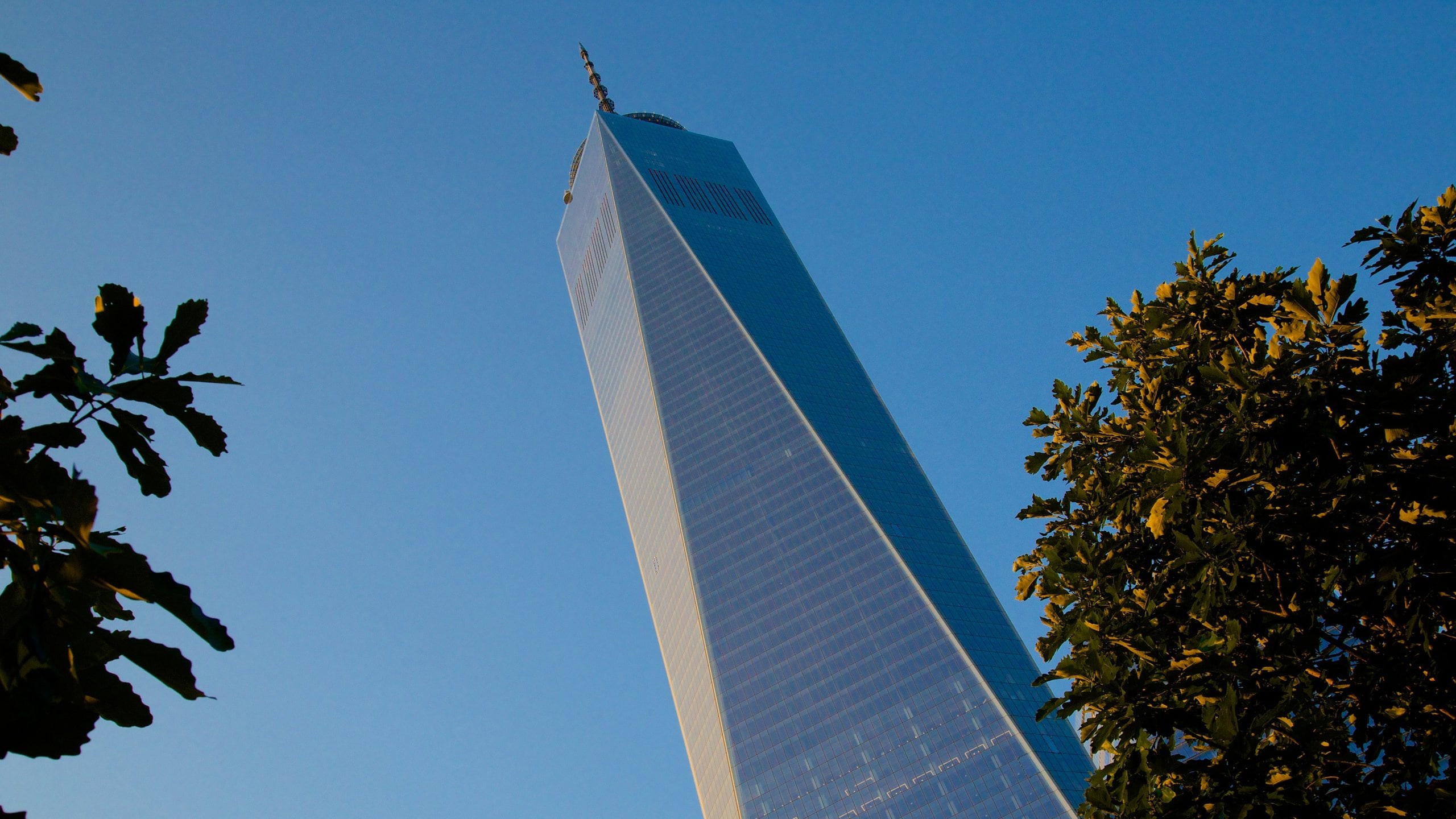 One World Trade Centre in New York - Explore the Tallest Building in New  York and the Western Hemisphere - Go Guides