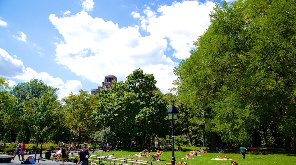 Washington Square Park mostrando un parque