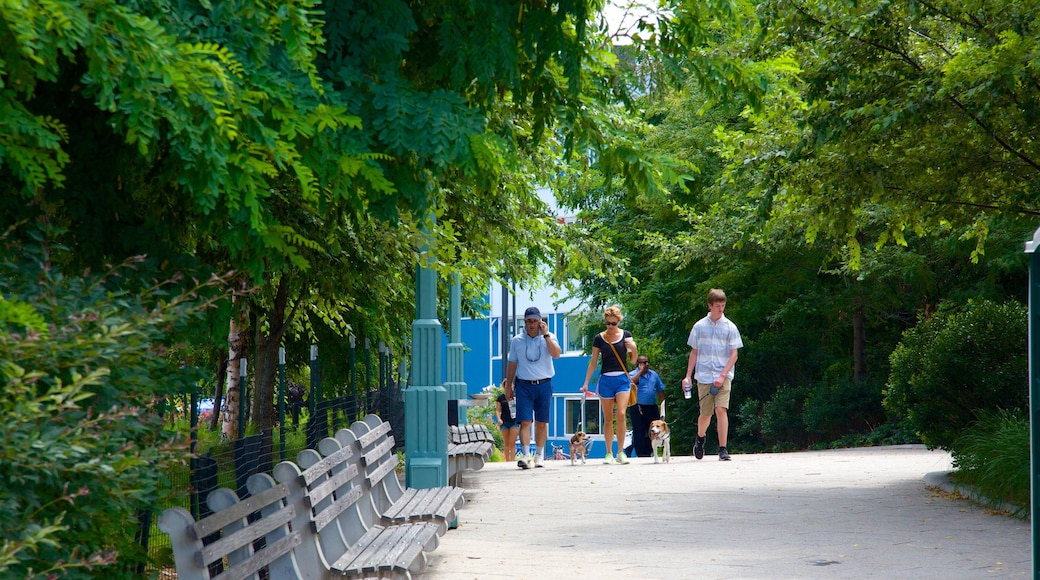 Hudson River Park