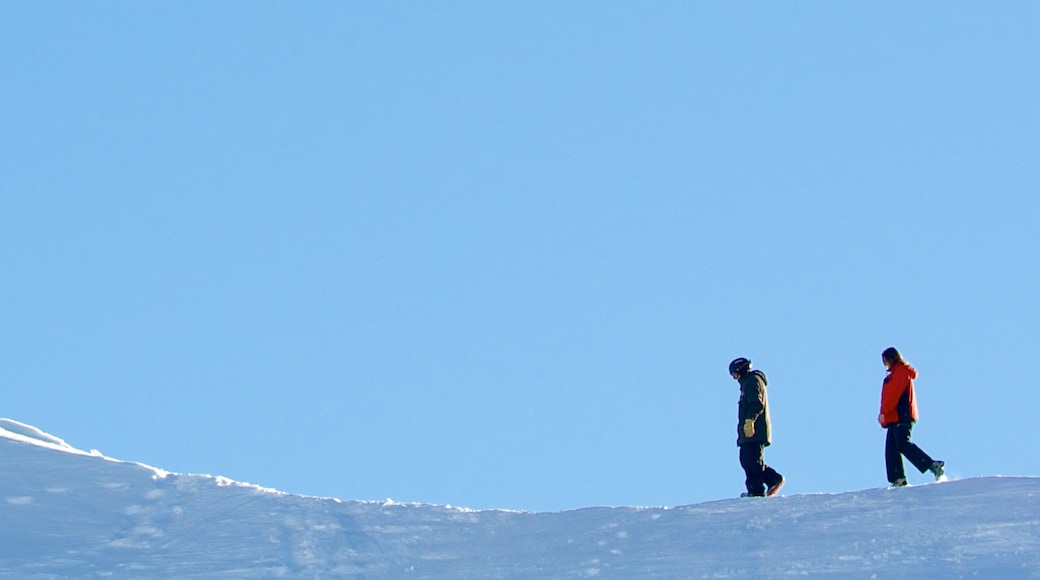 The Remarkables Ski Area showing snow and hiking or walking as well as a small group of people