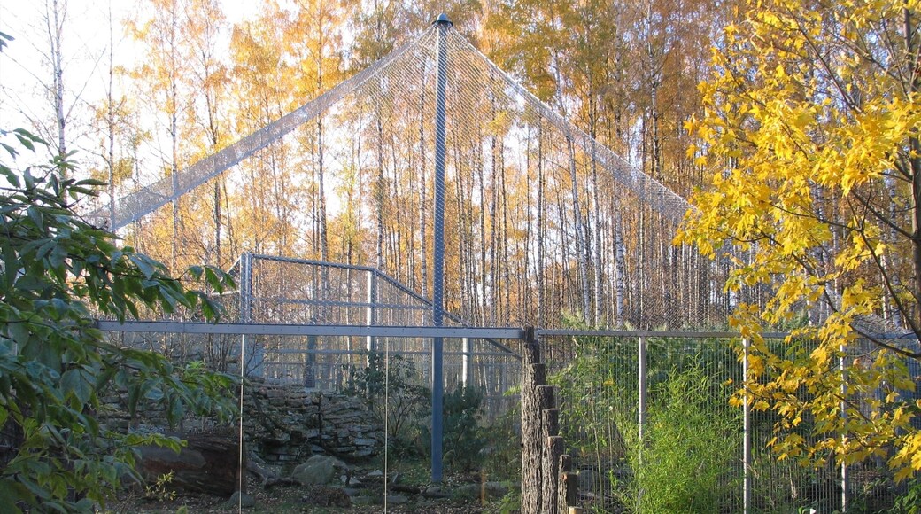 Photo provided by Tallinn Zoo