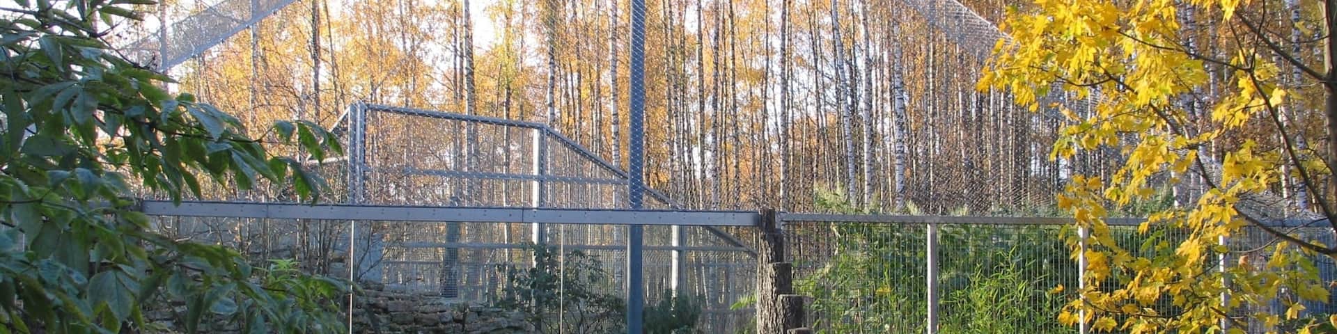 Tallinn Zoo featuring zoo animals