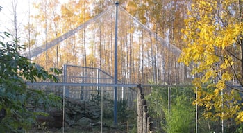 Tallinn Zoo showing zoo animals