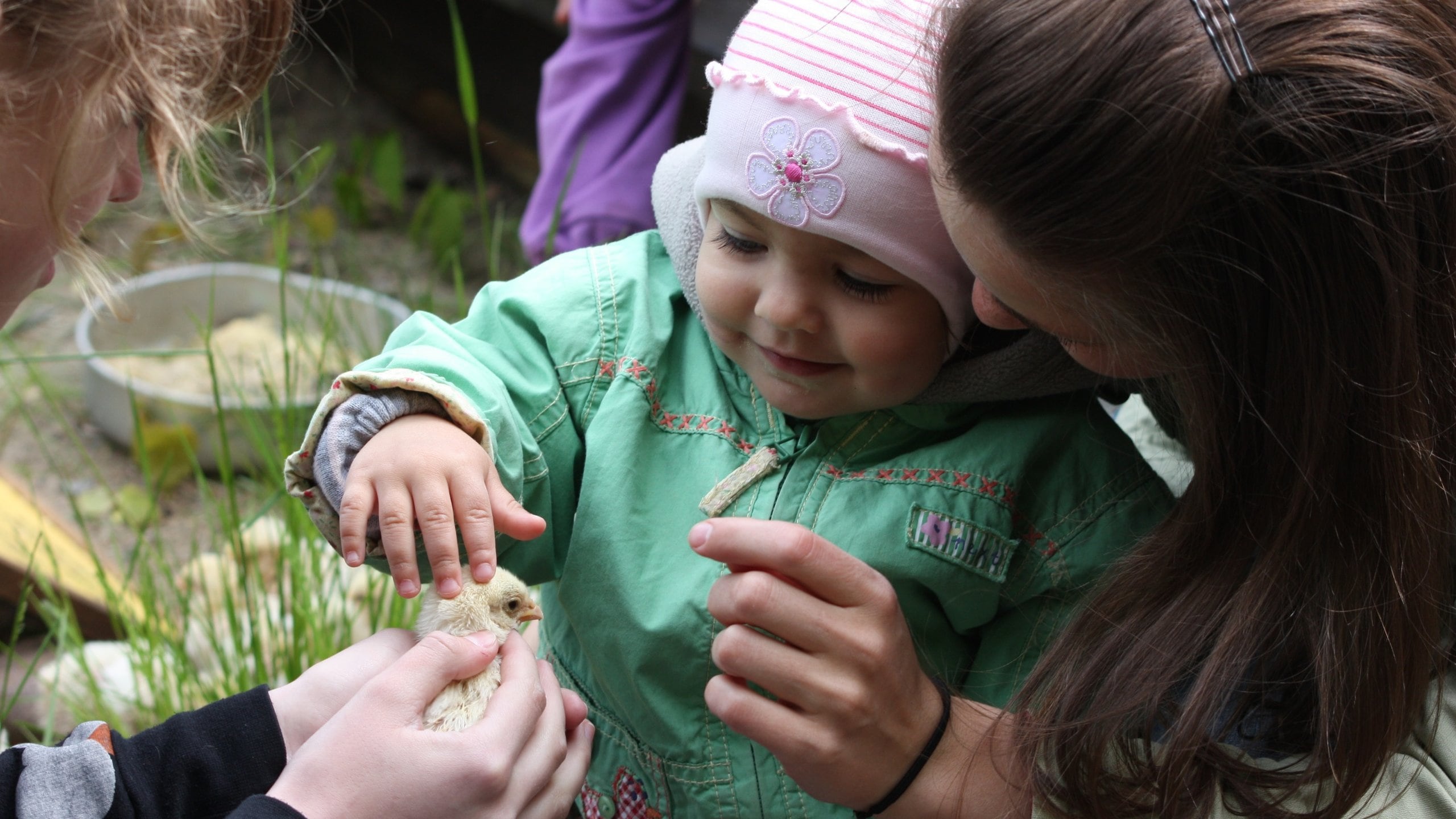 Zoo de Tallin ofreciendo animales del zoológico y vida de las aves y también niños