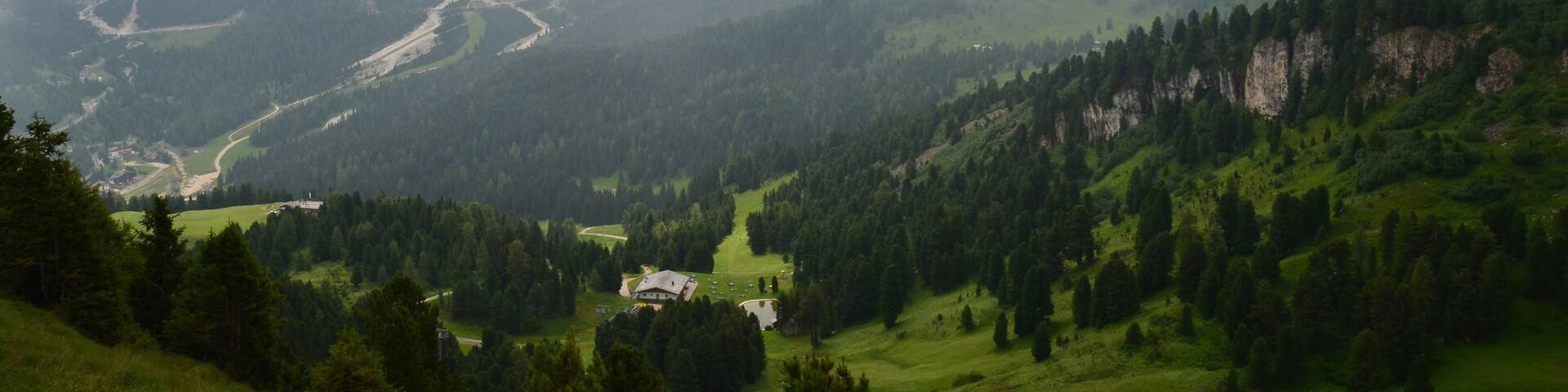 Station de ski de Ciampino-Sella montrant scĂšnes forestiĂšres, panoramas et montagnes
