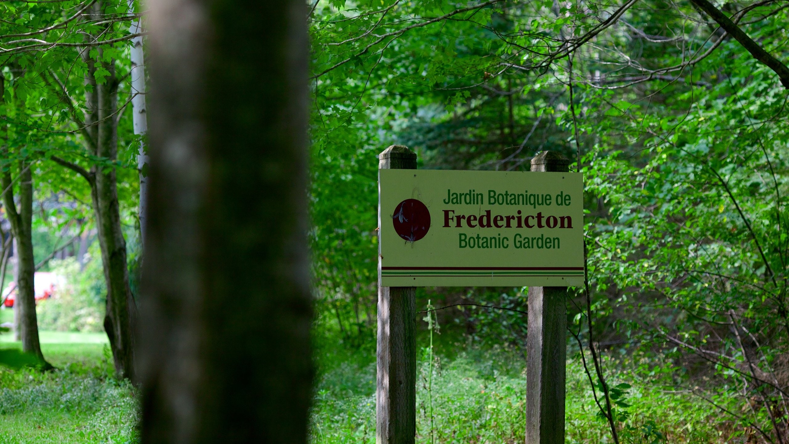 Fredericton showing a park and signage