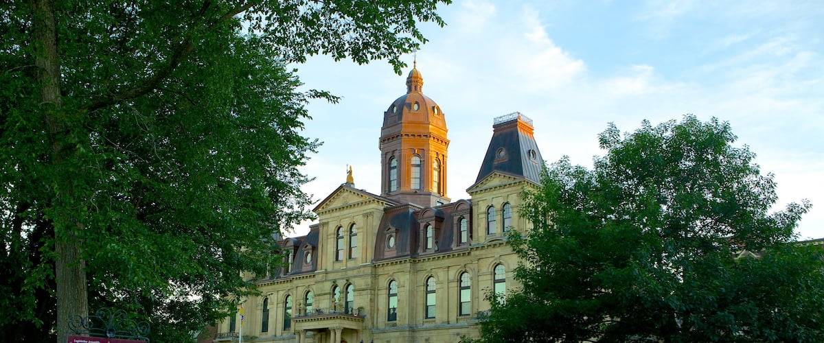 Fredericton featuring a garden
