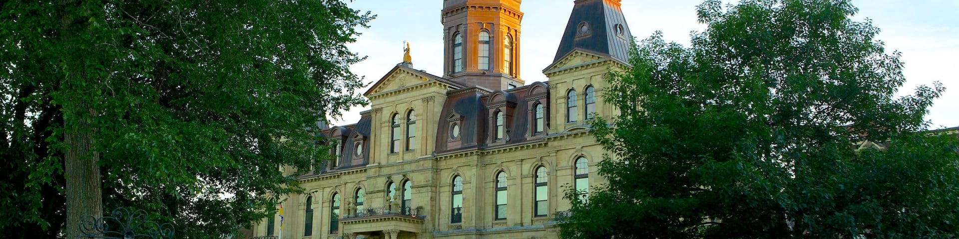 Fredericton featuring a garden