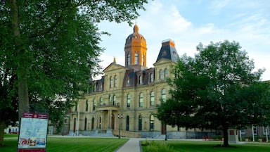 Fredericton featuring a garden