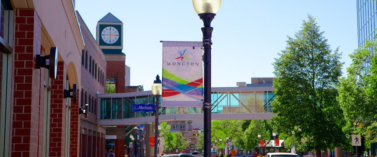 Moncton which includes signage and a city