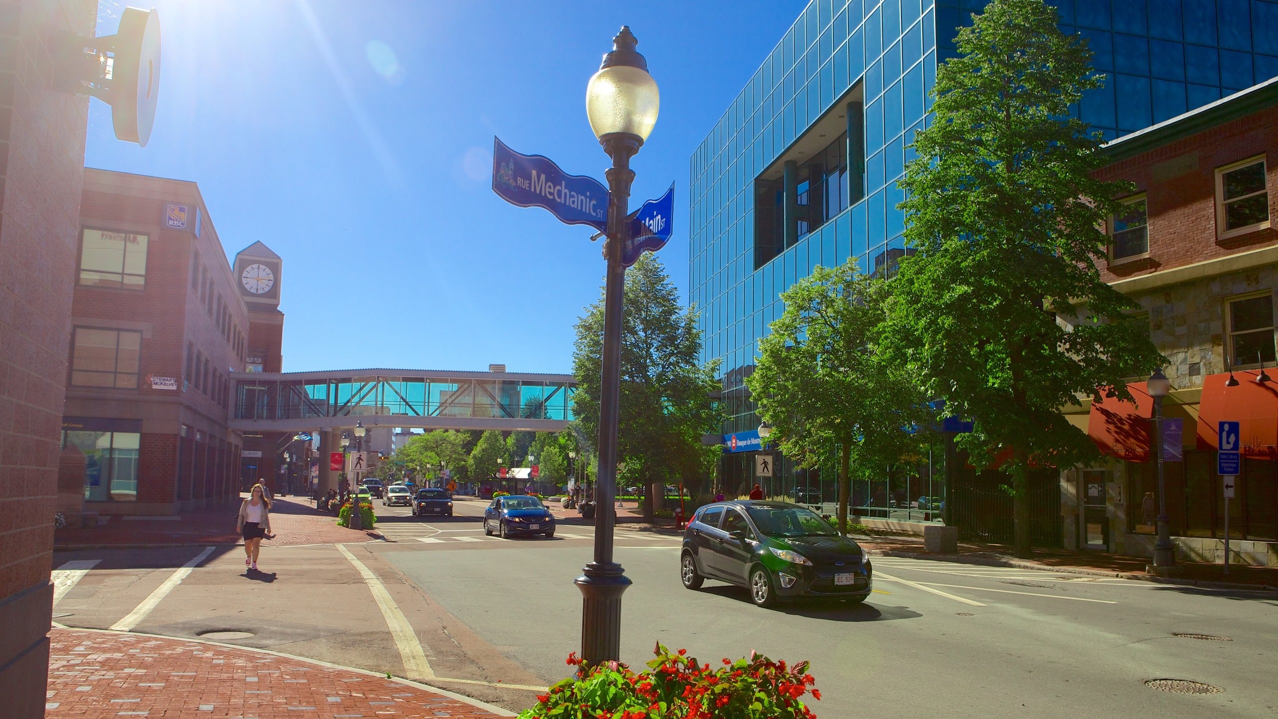 Moncton showing a city