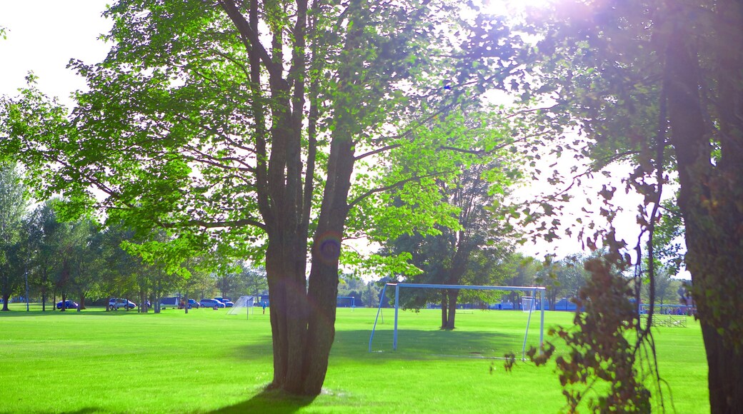 Oromocto featuring a garden