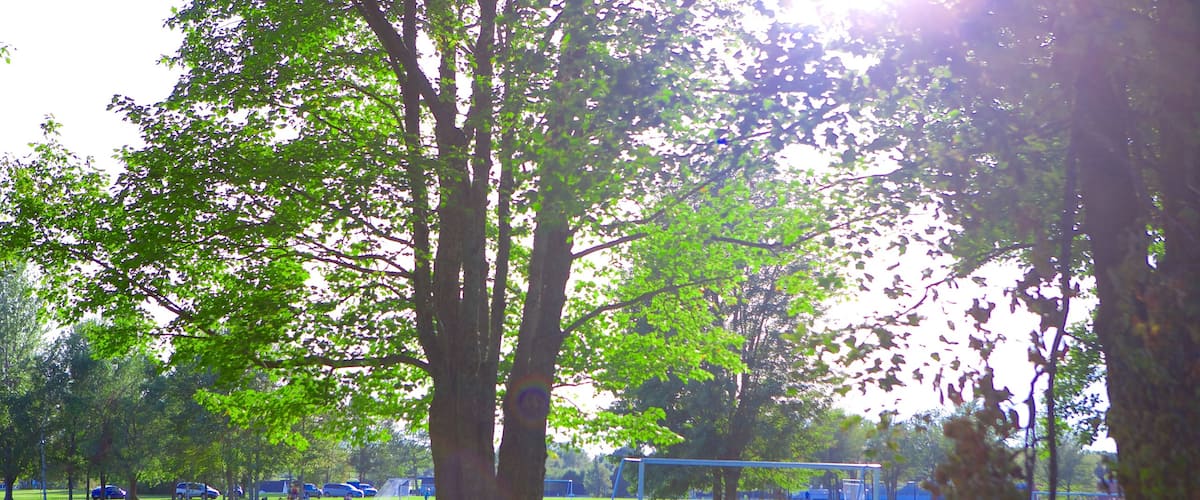 Oromocto showing a garden
