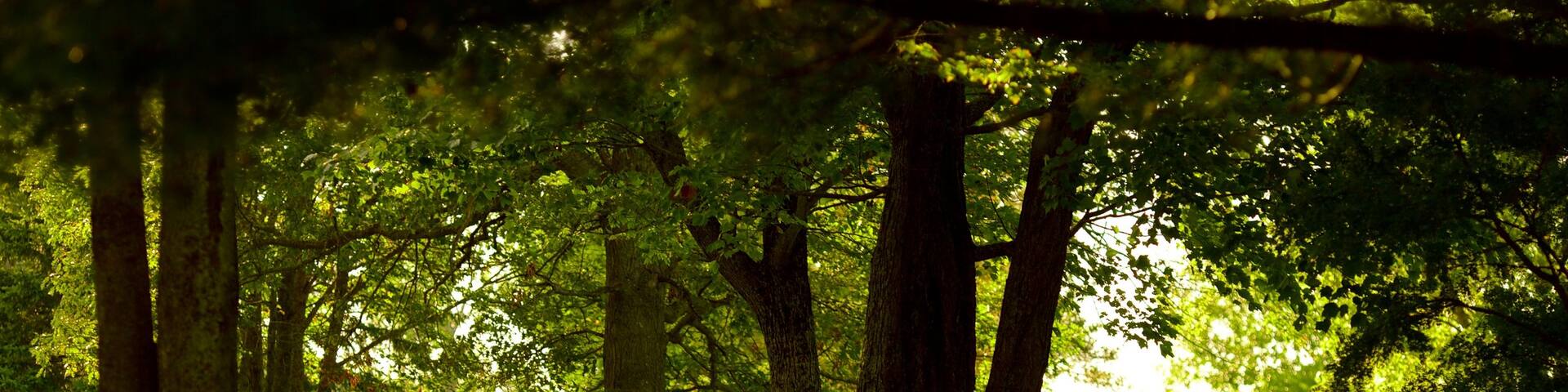 Oromocto which includes a park