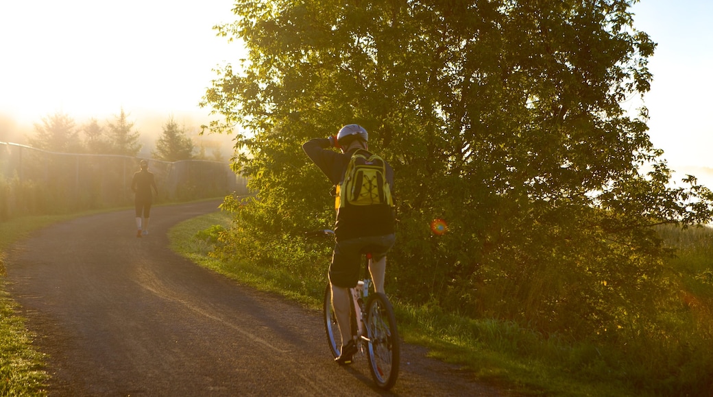 Dieppe featuring a sunset and cycling