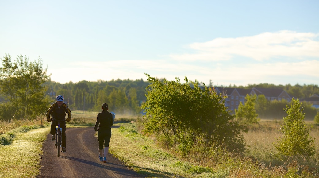 Dieppe featuring hiking or walking, cycling and tranquil scenes