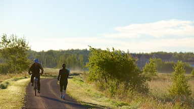 Dieppe welches beinhaltet Wandern oder Spazieren, Fahrradfahren und ruhige Szenerie