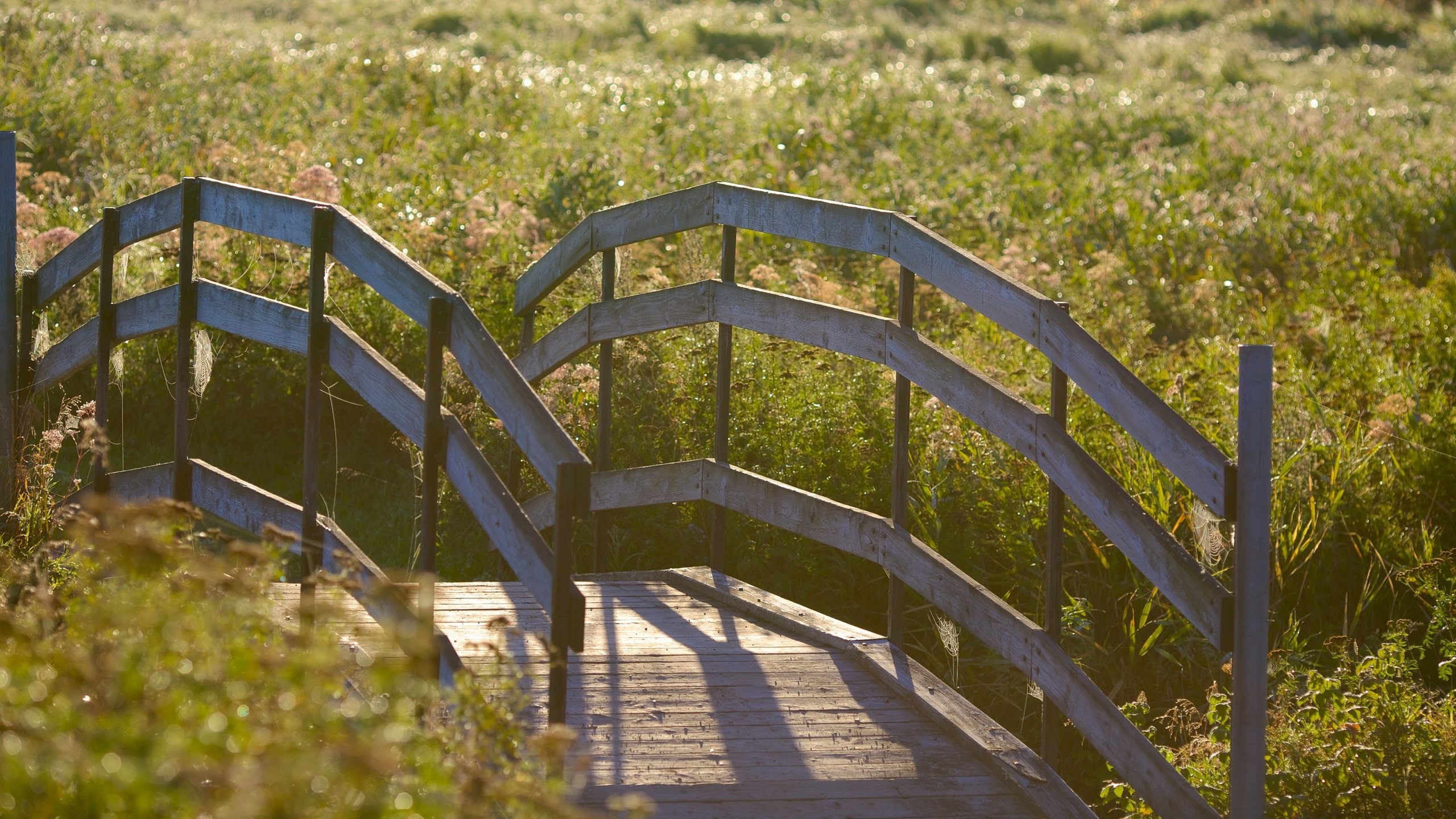 Bezoek Dieppe Het beste van reizen naar Dieppe, New Brunswick in 2024